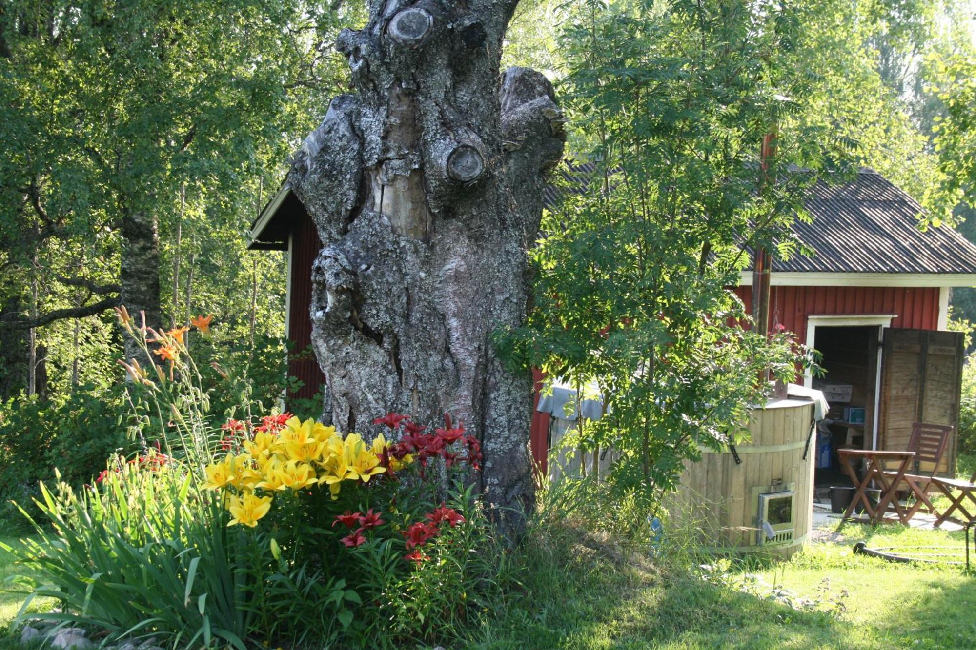Villa Valkeisen Loma Ähtäri Exterior foto